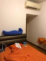 The Esta (D15), Condominium #207464781